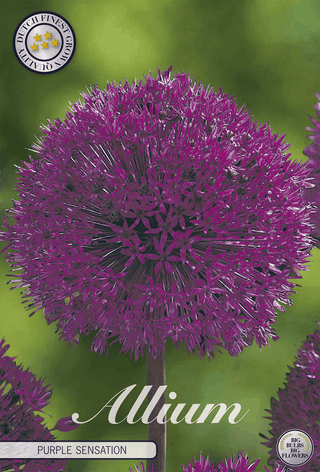 Flower bulbs