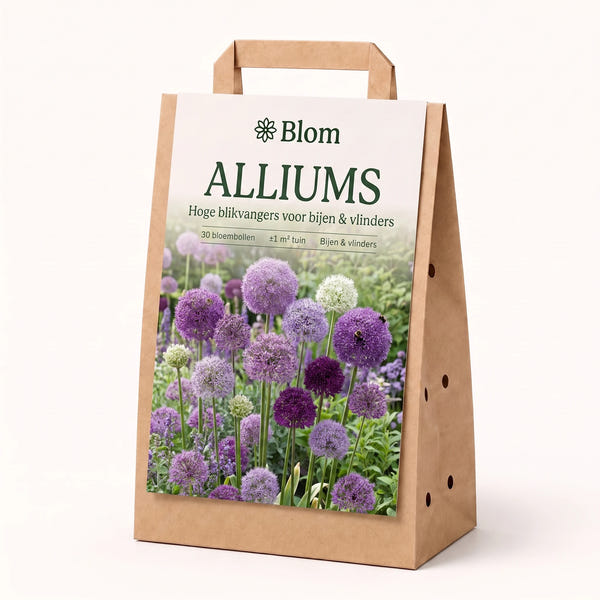 Bloementuin Allium