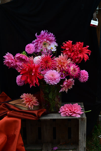 Cut flower