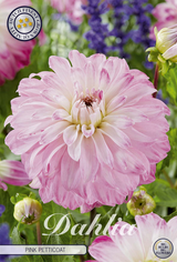 Dahlia Pink Petticoat