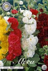 Alcea Mixed