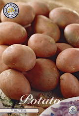 Potato Bildtstar