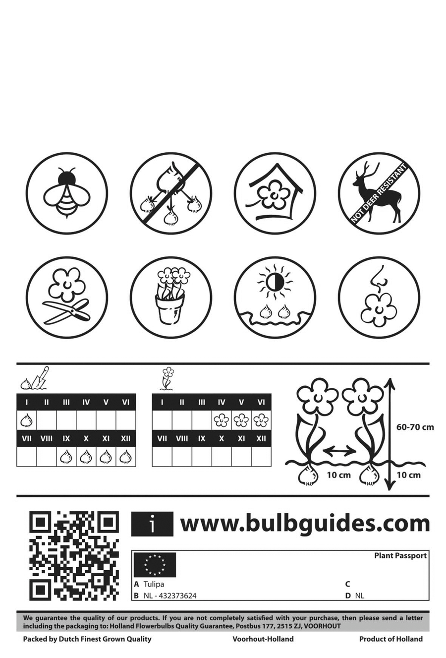 Tulipa Darwin Hybrid Mixed achterkant verpakking