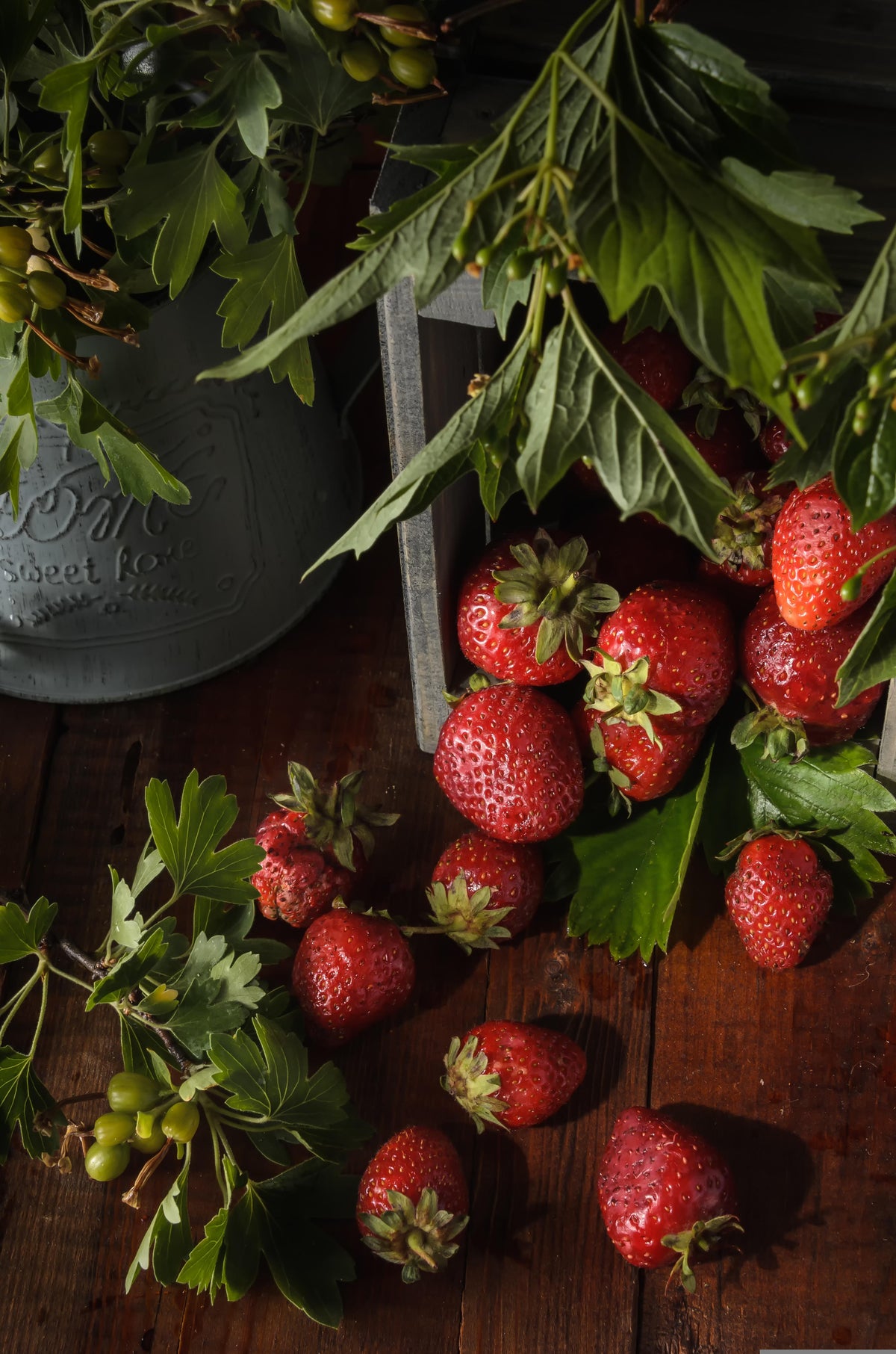 Edible garden
