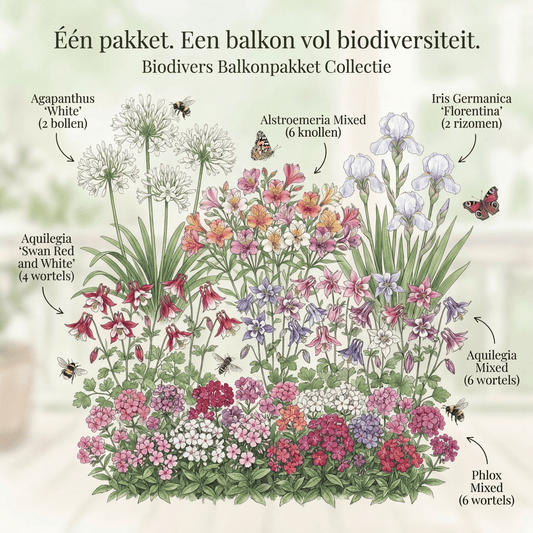 Balcony Pollinator Pack