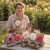 Dahlia Summer Garden Box